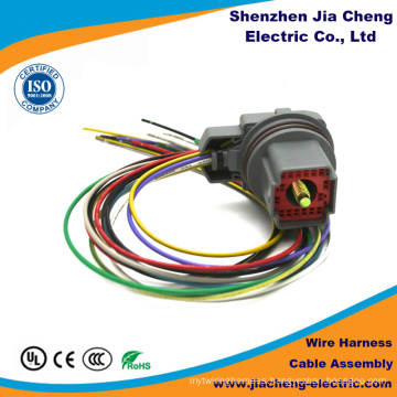Custom Molex Wire Cable Assembly Factory Made in China